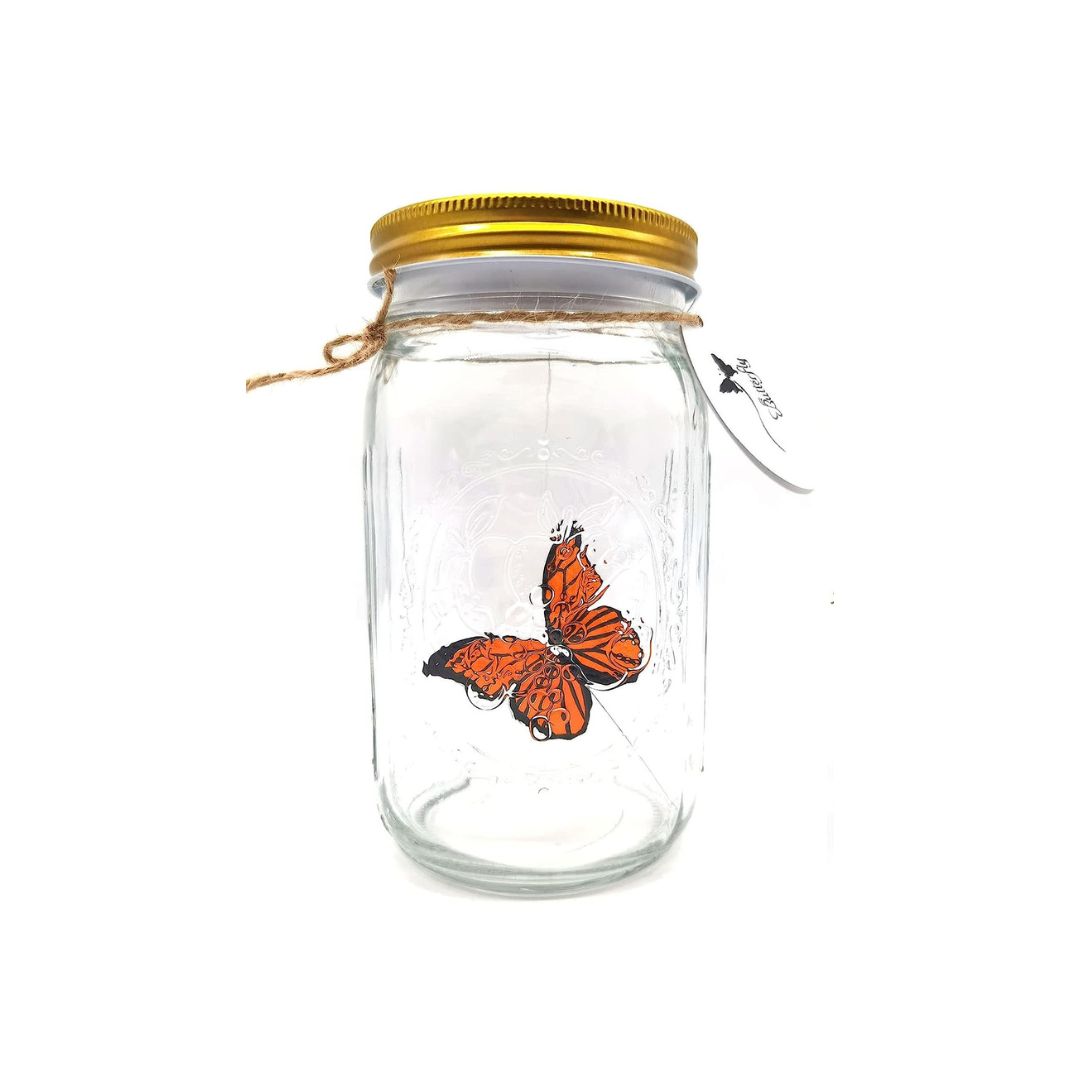 Butterfly in a Jar